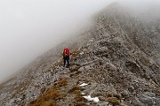 54 Alla sella tra anticima e cima est d'Arera